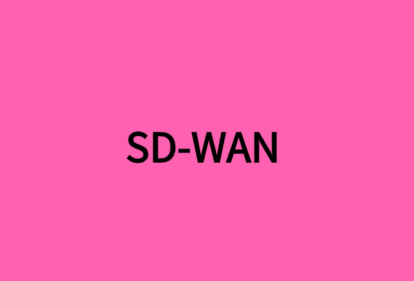 SD-WAN對(duì)多地點(diǎn)企業(yè)有什么好處?