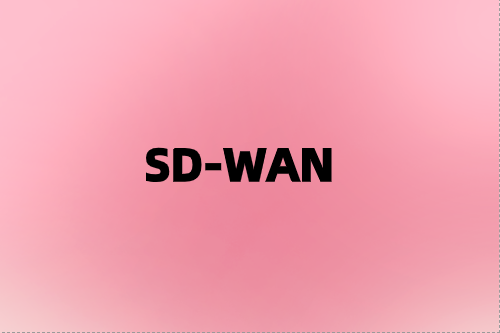 利用SD-WAN網(wǎng)絡(luò)彈性增強(qiáng)您的業(yè)務(wù)