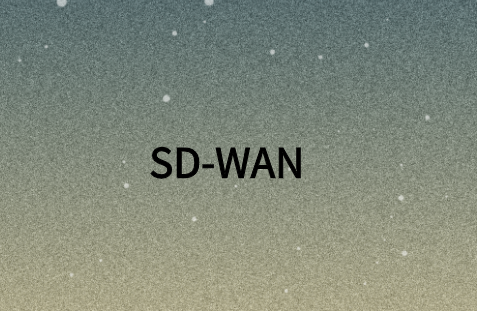 SD-WAN:全球敏捷企業(yè)的下一代WAN