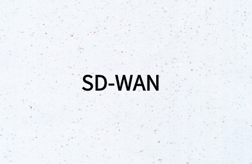 什么類型的企業(yè)有必要部署SD-WAN?