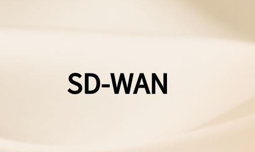 如何利用SD-WAN技術(shù)實(shí)現(xiàn)數(shù)字化轉(zhuǎn)型?